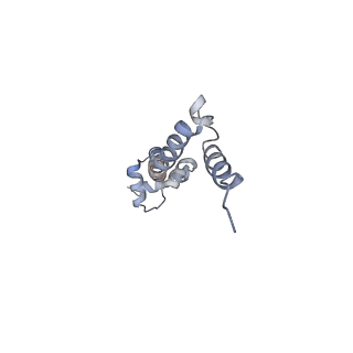 8620_5uyq_19_v1-3
70S ribosome bound with near-cognate ternary complex base-paired to A site codon, closed 30S (Structure III-nc)