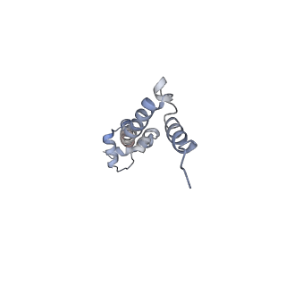 8620_5uyq_19_v1-4
70S ribosome bound with near-cognate ternary complex base-paired to A site codon, closed 30S (Structure III-nc)