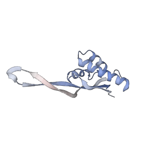 8620_5uyq_21_v1-3
70S ribosome bound with near-cognate ternary complex base-paired to A site codon, closed 30S (Structure III-nc)
