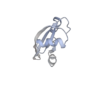 8620_5uyq_22_v1-4
70S ribosome bound with near-cognate ternary complex base-paired to A site codon, closed 30S (Structure III-nc)