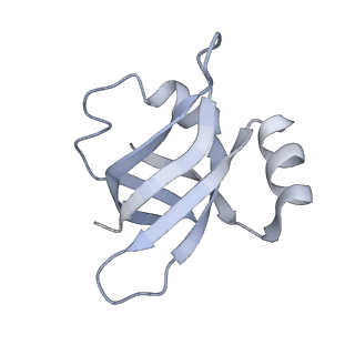 8620_5uyq_24_v1-4
70S ribosome bound with near-cognate ternary complex base-paired to A site codon, closed 30S (Structure III-nc)