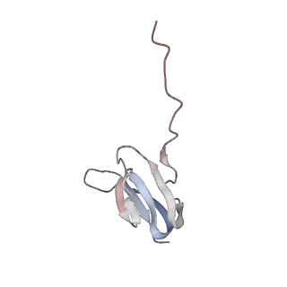 8620_5uyq_25_v1-3
70S ribosome bound with near-cognate ternary complex base-paired to A site codon, closed 30S (Structure III-nc)