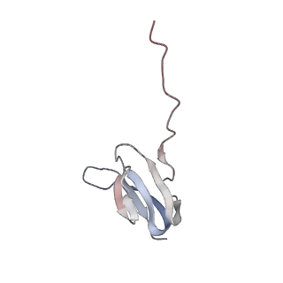 8620_5uyq_25_v1-4
70S ribosome bound with near-cognate ternary complex base-paired to A site codon, closed 30S (Structure III-nc)