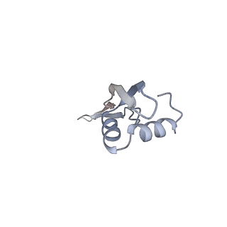 8620_5uyq_26_v1-3
70S ribosome bound with near-cognate ternary complex base-paired to A site codon, closed 30S (Structure III-nc)