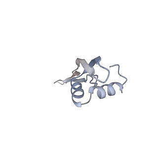 8620_5uyq_26_v1-4
70S ribosome bound with near-cognate ternary complex base-paired to A site codon, closed 30S (Structure III-nc)