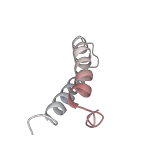 8620_5uyq_27_v1-3
70S ribosome bound with near-cognate ternary complex base-paired to A site codon, closed 30S (Structure III-nc)