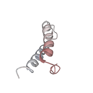 8620_5uyq_27_v1-4
70S ribosome bound with near-cognate ternary complex base-paired to A site codon, closed 30S (Structure III-nc)