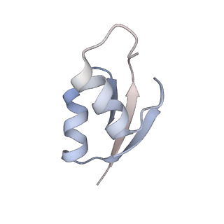 8620_5uyq_28_v1-4
70S ribosome bound with near-cognate ternary complex base-paired to A site codon, closed 30S (Structure III-nc)