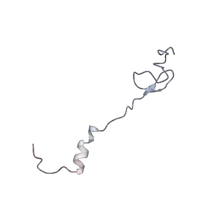 8620_5uyq_30_v1-3
70S ribosome bound with near-cognate ternary complex base-paired to A site codon, closed 30S (Structure III-nc)