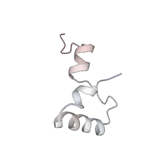 8620_5uyq_32_v1-3
70S ribosome bound with near-cognate ternary complex base-paired to A site codon, closed 30S (Structure III-nc)