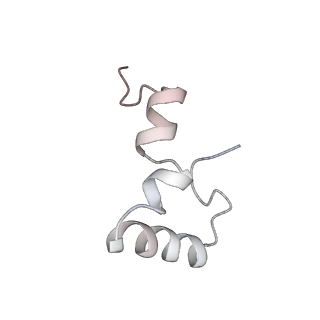 8620_5uyq_32_v1-4
70S ribosome bound with near-cognate ternary complex base-paired to A site codon, closed 30S (Structure III-nc)