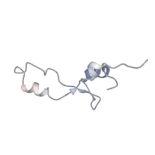 8620_5uyq_33_v1-4
70S ribosome bound with near-cognate ternary complex base-paired to A site codon, closed 30S (Structure III-nc)