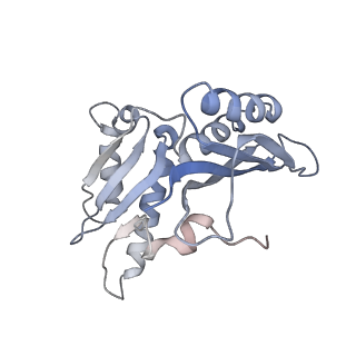 8620_5uyq_C_v1-3
70S ribosome bound with near-cognate ternary complex base-paired to A site codon, closed 30S (Structure III-nc)