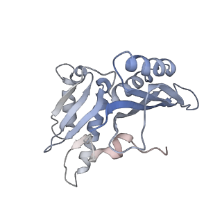 8620_5uyq_C_v1-4
70S ribosome bound with near-cognate ternary complex base-paired to A site codon, closed 30S (Structure III-nc)