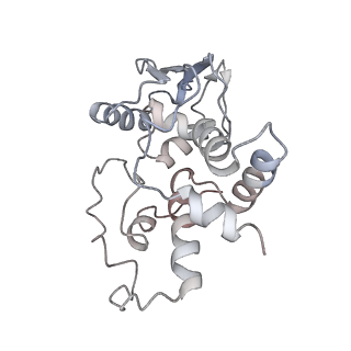 8620_5uyq_D_v1-3
70S ribosome bound with near-cognate ternary complex base-paired to A site codon, closed 30S (Structure III-nc)