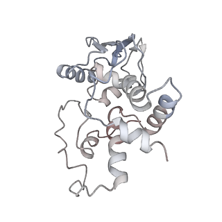 8620_5uyq_D_v1-4
70S ribosome bound with near-cognate ternary complex base-paired to A site codon, closed 30S (Structure III-nc)