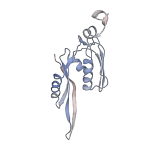 8620_5uyq_E_v1-4
70S ribosome bound with near-cognate ternary complex base-paired to A site codon, closed 30S (Structure III-nc)