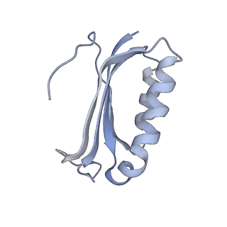 8620_5uyq_F_v1-4
70S ribosome bound with near-cognate ternary complex base-paired to A site codon, closed 30S (Structure III-nc)