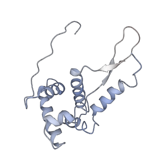 8620_5uyq_G_v1-3
70S ribosome bound with near-cognate ternary complex base-paired to A site codon, closed 30S (Structure III-nc)