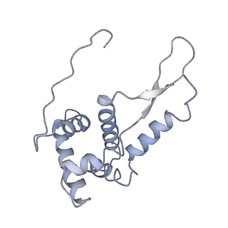 8620_5uyq_G_v1-4
70S ribosome bound with near-cognate ternary complex base-paired to A site codon, closed 30S (Structure III-nc)