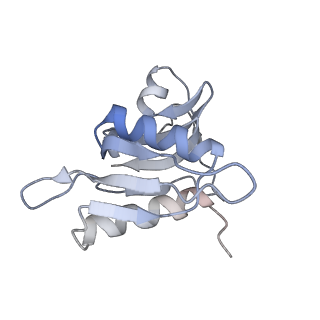 8620_5uyq_H_v1-3
70S ribosome bound with near-cognate ternary complex base-paired to A site codon, closed 30S (Structure III-nc)