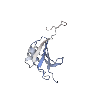 8620_5uyq_K_v1-3
70S ribosome bound with near-cognate ternary complex base-paired to A site codon, closed 30S (Structure III-nc)