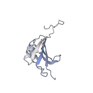 8620_5uyq_K_v1-4
70S ribosome bound with near-cognate ternary complex base-paired to A site codon, closed 30S (Structure III-nc)