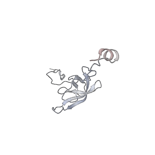8620_5uyq_L_v1-3
70S ribosome bound with near-cognate ternary complex base-paired to A site codon, closed 30S (Structure III-nc)