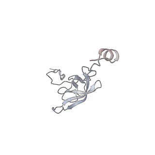 8620_5uyq_L_v1-4
70S ribosome bound with near-cognate ternary complex base-paired to A site codon, closed 30S (Structure III-nc)