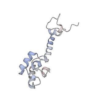 8620_5uyq_M_v1-4
70S ribosome bound with near-cognate ternary complex base-paired to A site codon, closed 30S (Structure III-nc)