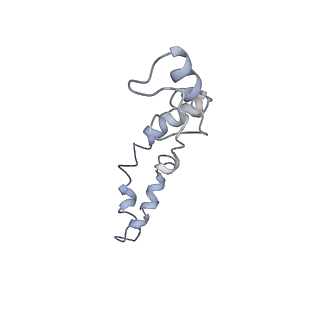 8620_5uyq_N_v1-3
70S ribosome bound with near-cognate ternary complex base-paired to A site codon, closed 30S (Structure III-nc)