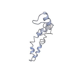 8620_5uyq_N_v1-4
70S ribosome bound with near-cognate ternary complex base-paired to A site codon, closed 30S (Structure III-nc)