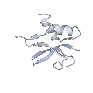8620_5uyq_P_v1-3
70S ribosome bound with near-cognate ternary complex base-paired to A site codon, closed 30S (Structure III-nc)