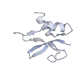 8620_5uyq_P_v1-4
70S ribosome bound with near-cognate ternary complex base-paired to A site codon, closed 30S (Structure III-nc)