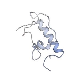 8620_5uyq_R_v1-3
70S ribosome bound with near-cognate ternary complex base-paired to A site codon, closed 30S (Structure III-nc)