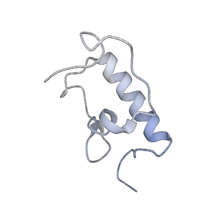 8620_5uyq_R_v1-4
70S ribosome bound with near-cognate ternary complex base-paired to A site codon, closed 30S (Structure III-nc)