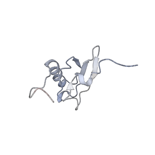 8620_5uyq_S_v1-4
70S ribosome bound with near-cognate ternary complex base-paired to A site codon, closed 30S (Structure III-nc)