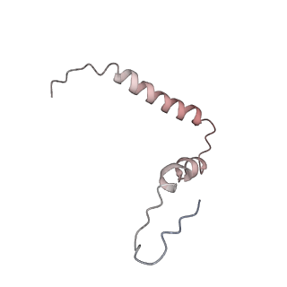 8620_5uyq_U_v1-4
70S ribosome bound with near-cognate ternary complex base-paired to A site codon, closed 30S (Structure III-nc)