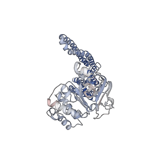 20950_6uz2_A_v1-1
Cryo-EM structure of nucleotide-free MsbA reconstituted into peptidiscs, conformation 1