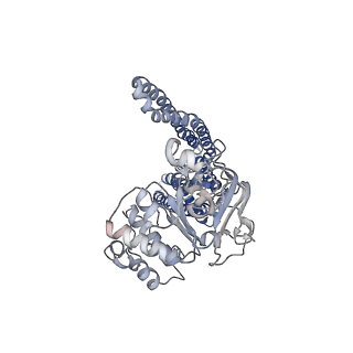 20950_6uz2_A_v1-2
Cryo-EM structure of nucleotide-free MsbA reconstituted into peptidiscs, conformation 1