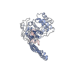 20950_6uz2_B_v1-1
Cryo-EM structure of nucleotide-free MsbA reconstituted into peptidiscs, conformation 1
