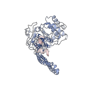 20950_6uz2_B_v1-2
Cryo-EM structure of nucleotide-free MsbA reconstituted into peptidiscs, conformation 1