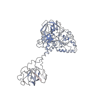 20952_6uz7_1_v1-1
K.lactis 80S ribosome with p/PE tRNA and eIF5B