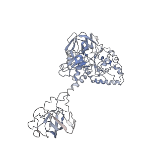 20952_6uz7_1_v1-2
K.lactis 80S ribosome with p/PE tRNA and eIF5B