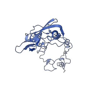 20952_6uz7_AA_v1-1
K.lactis 80S ribosome with p/PE tRNA and eIF5B
