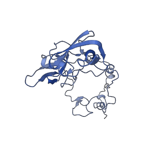 20952_6uz7_AA_v1-2
K.lactis 80S ribosome with p/PE tRNA and eIF5B