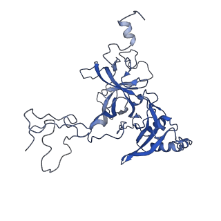 20952_6uz7_AB_v1-2
K.lactis 80S ribosome with p/PE tRNA and eIF5B