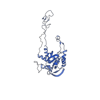 20952_6uz7_AC_v1-1
K.lactis 80S ribosome with p/PE tRNA and eIF5B