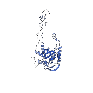 20952_6uz7_AC_v1-2
K.lactis 80S ribosome with p/PE tRNA and eIF5B