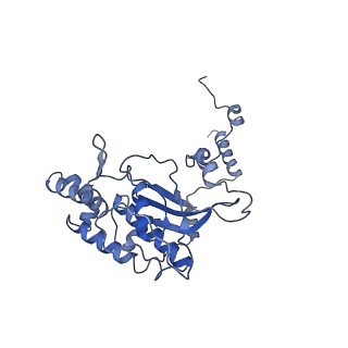 20952_6uz7_AD_v1-1
K.lactis 80S ribosome with p/PE tRNA and eIF5B
